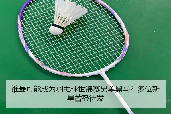 谁最可能成为羽毛球世锦赛男单黑马？多位新星蓄势待发